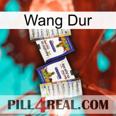 Hard Wang 12